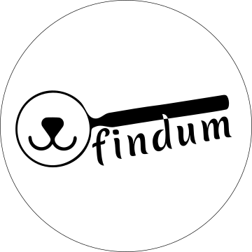 findum